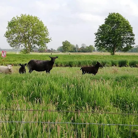 Im Fehnland 35667 Apartamento Uplengen