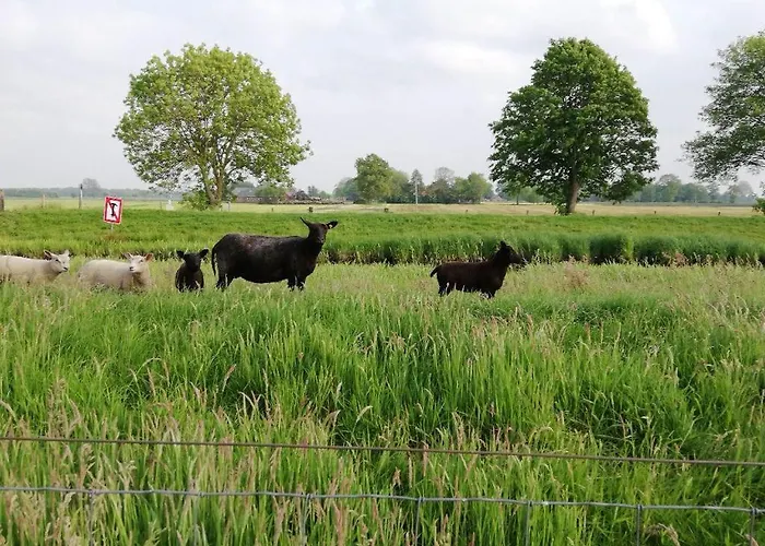 Im Fehnland 35667 Lejlighed Uplengen